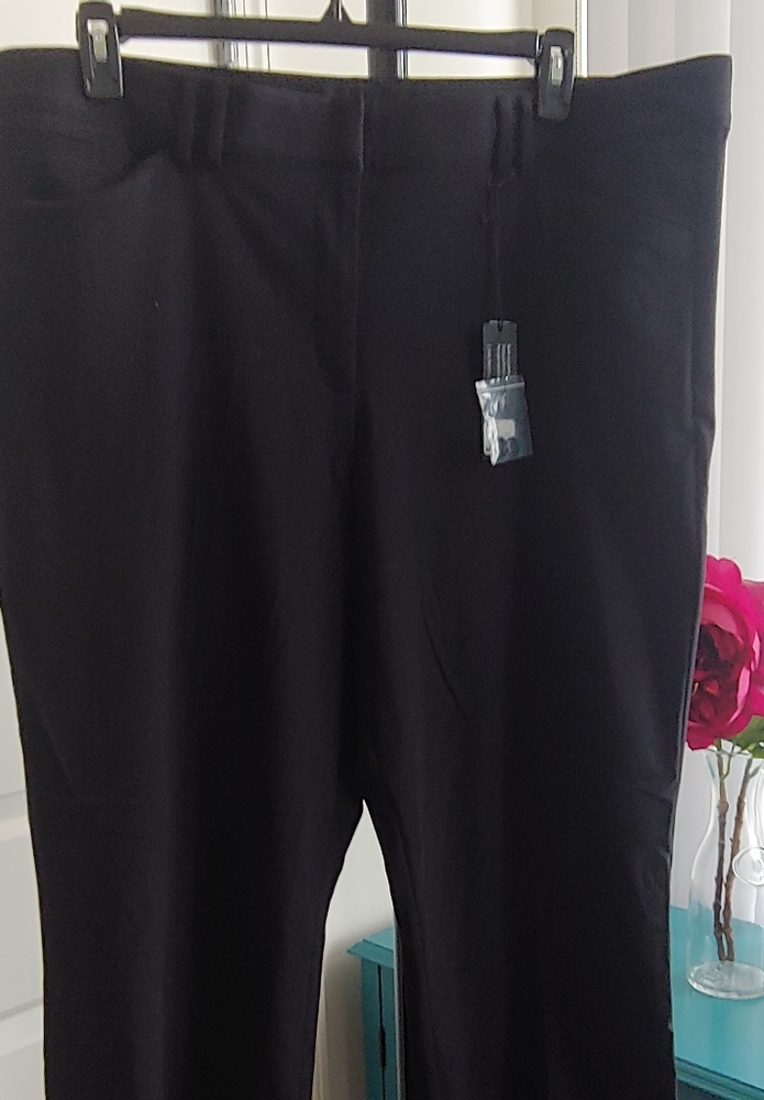 Lane Bryant Pants